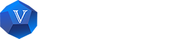 VitruviX die logo